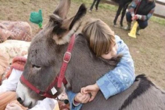 The Apulian Countryside - Riding a Donkey