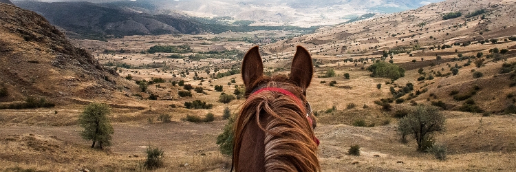 cappadocia horse riding  